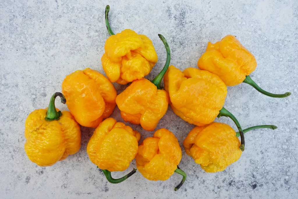 moruga scorpion yellow